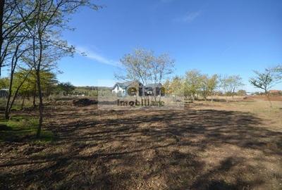 Snagov Ciofliceni Mânastire- Teren 1432 mp, d 60 m, curent gaze asfalt - 9