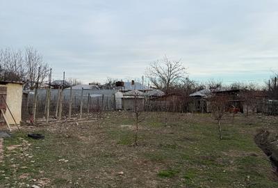 Casa de vanzare in comuna balta alba ,buzau - 9