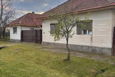 Casă cu Teren 4000 Mp în Sălbăgelu Nou