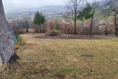 Casă cu Teren 4000 Mp în Hărman - 1