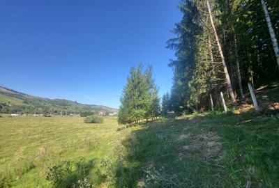 Teren, Ideal pentru Investitie Sau Dezvoltare - 15