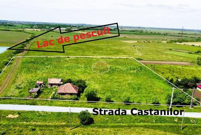 Teren Construcții extravilan de 10850 mp, în Sud - 3