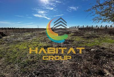 Teren de vanzare intravilan Tunari 750 mp - 3