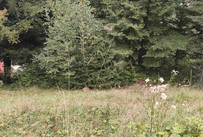 Teren de 1000 mp, în Clăbucet - 2