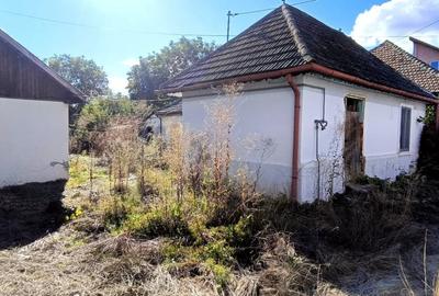 Casa renovabila cu teren de 820mp in zona Eminescu - 7