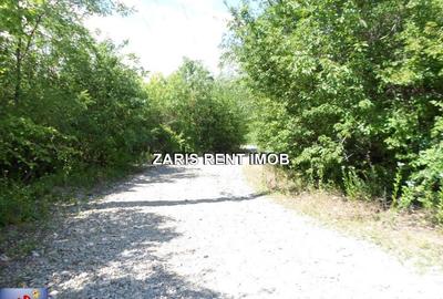Teren intavilan langa Casa Seciu, Prahova - 1