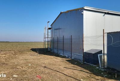 Spațiu comercial, de 175 mp, în Brănești - 3