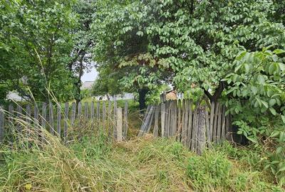 Casa  de vânzare cu teren 9200 mp, Pădureni-Șendriceni, Botoșani - 21