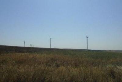 Teren de 5000 mp, în Vârlezi - 8