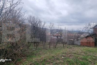 Spațiu comercial, în Homorâciu - 1