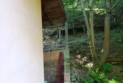 Casă cu Teren 552 Mp în Central - 5