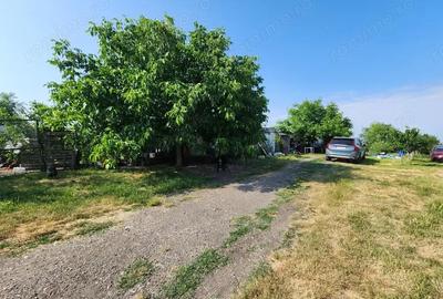 Spațiu comercial, de 600 mp, în Sânandrei - 1