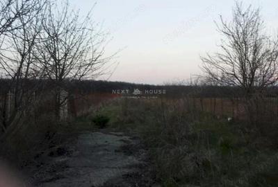 Casă cu Teren 2350 Mp în Izvorani - 12