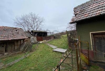 Casă cu 3 camere cu Teren 3272 Mp în Cubulcut - 3