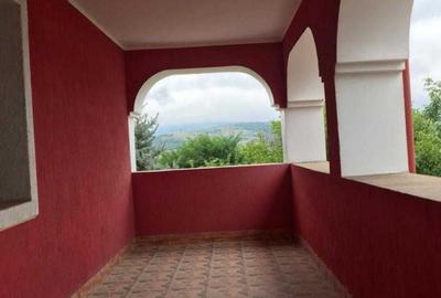 Apartament decomandat în Moara Grecilor - 3