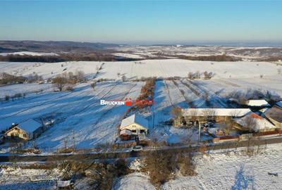 CASA DE VACANTA | VARCIOROG, BIHOR - 16