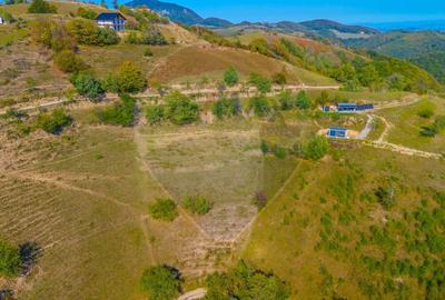 Teren agricol extravilan de 6014 mp, în Holbav - 10