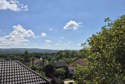 Casa de vanzare in Bajesti, comuna Balilesti, judetul Arges – Mioveni - 20