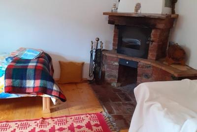 Cabana zona de deal în Apuseni - 2