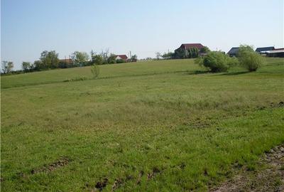 Teren de 55000 mp, în Salonta - 1