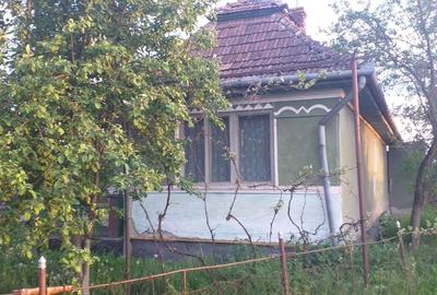 Casă cu 2 camere în Chețani - 6