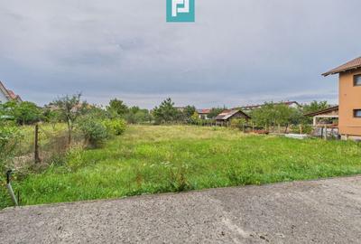 Casă cu 5 camere în Remetea Mare - 17