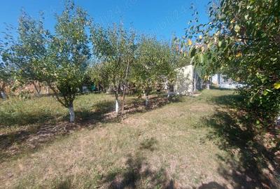 Casa individuala de vanzare - Rancaciov, judetul Dambovita - 1