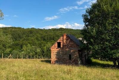 Teren de vanzare intravilan | Intorsura Buzaului - 6