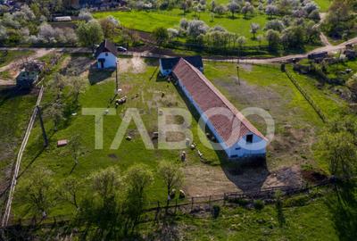 Microferma cu locuinta de vanzare in Pianu de sus - 1