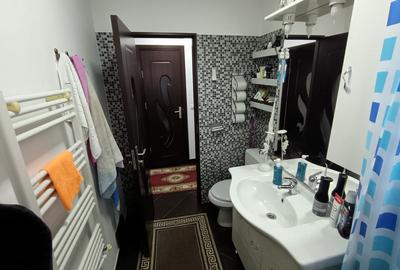 Apartament cu 2 camere semidecomandat, mobilat în Podu Roș - 9