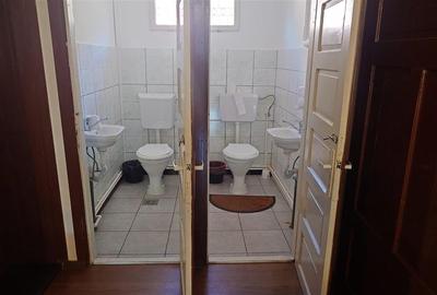 Proprietate cu potential in Apuseni - fosta pizzerie, ideala pentru afacere sau - 8