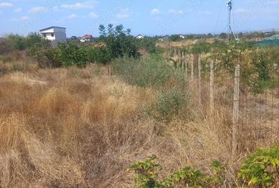 Teren în Broșteni - 4