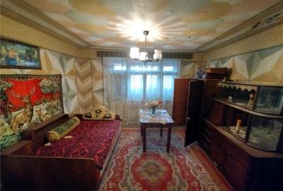 Bogodint, Casa 440mp cu 4 Hectare Teren, Pret Negociabil - 11