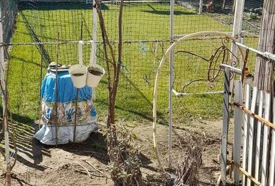 Casă cu 3 camere decomandat în Exterior Vest - 5