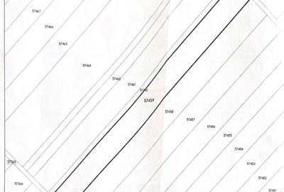 Spațiu comercial, în Buda