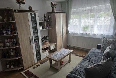 Apartament Alesd - 3