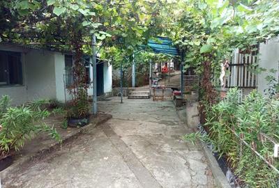 Casă cu Teren 1439 Mp în Brădișoru de Jos - 12