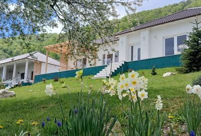 Casă individuală cu 5 camere cu Teren 2306 Mp în Predeluț - 3