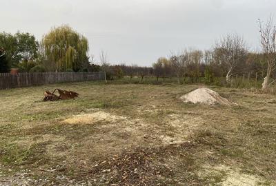 Spațiu comercial, în Biharia - 2
