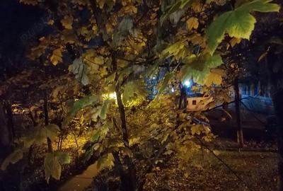 Apartament cu 4 camere decomandat în Sălăjan - 10