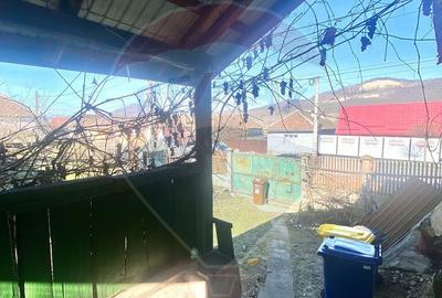 Casă cu 3 camere cu Teren 1163 Mp în Central - 8