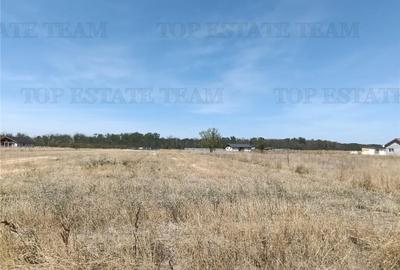 Teren intravila de / Pruni/ Magurele - 2