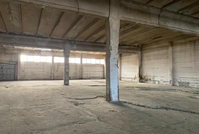 Calea Sagului, Hala industriala cu acces tir - 3