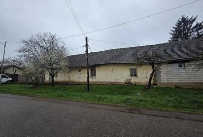 Casă cu 2 camere cu Teren 700 Mp în Orțișoara - 4