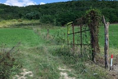 Locul perfect pentru casa ta de vis – teren la marginea orașului! - 2