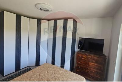 Casă individuală cu 5 camere cu Teren 4242 Mp în Vânători-Neamț - 45