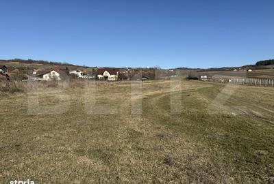 Spațiu comercial, în Badon - 2