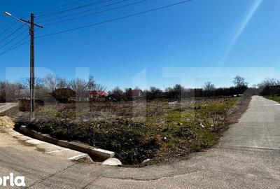 Teren de 1331 mp, în Mischii