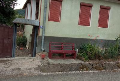 Casa de vanzare in loc.Izvoarele com.Livezile.jud.Alba - 1