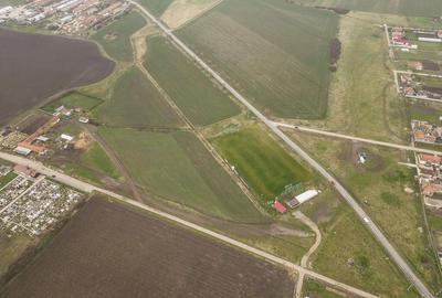 Teren 76.000mp intre Santana ?i Caporal Alexa - 1